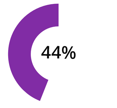 44% пользователей